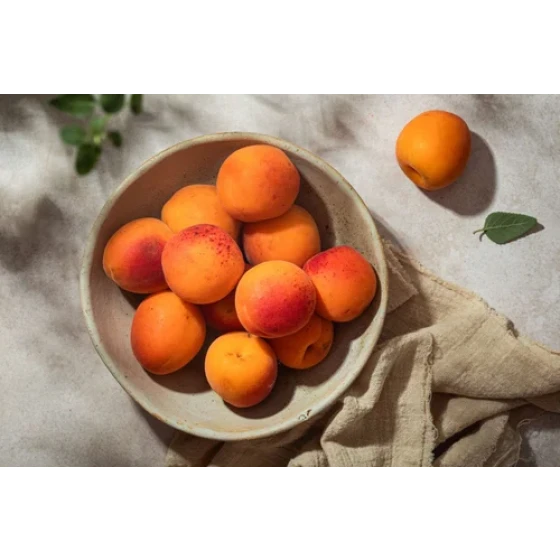 Kashmiri Apricot